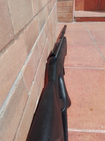 Vendo carabina de aire comprimido bull whisper igt 5.5, funciona a la perfección con algunas marcas del 01