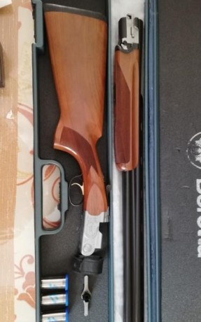  VENDIDA SE PUEDE BORRAR  Se vende Beretta sporting 687 Silver Pigeon.
Practicamente nueva, muy cuidada, 01