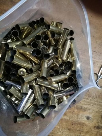 Vendo un lote de algo mas de mil cuatrocientas vainas del 357 magnun.
 Las vainas se encuentran totalmente 01