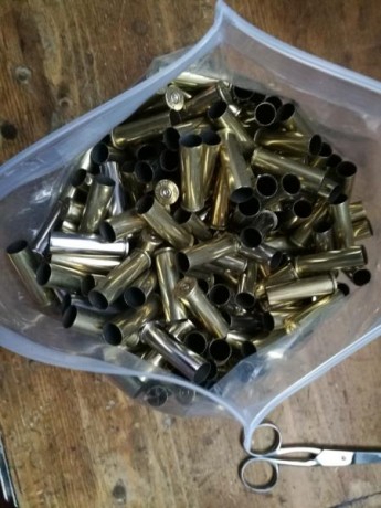 Vendo un lote de algo mas de mil cuatrocientas vainas del 357 magnun.
 Las vainas se encuentran totalmente 00