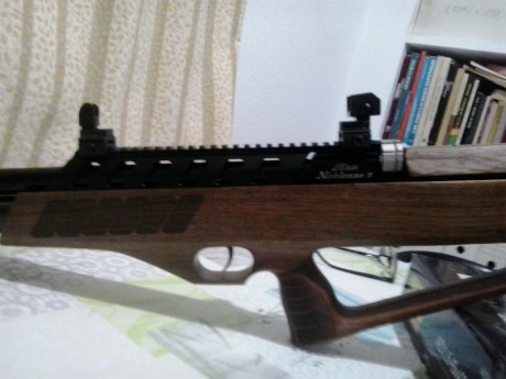 Que os parece esta carabina ?

 Se fabrica en corea del sur. Primera de la foto es de madera pintada de 150