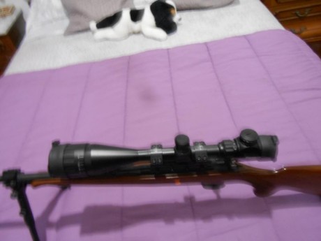Hola buenas, me estoy iniciando en tiro y busco una carabina del 22 de cerrojo baratita.
Escucho ofertas 31