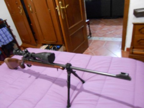 Hola buenas, me estoy iniciando en tiro y busco una carabina del 22 de cerrojo baratita.
Escucho ofertas 30