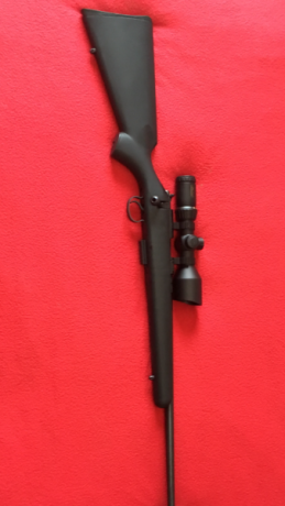 Vendo CZ 17hmr en estado impecable con menos de una caja de municion disparada...!
Con dos cargadores 10