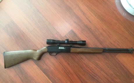 Hola a todos,
Vendo estos rifles:

- Santa Barbara SPAIN Modelo De Luxe calibre 243 con visor BUSHNELL. 01
