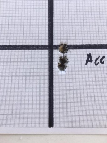 ¿Nos animamos a mostrar blancos de nuestros rifles de caza habituales? Con la munición que habitualmente 172