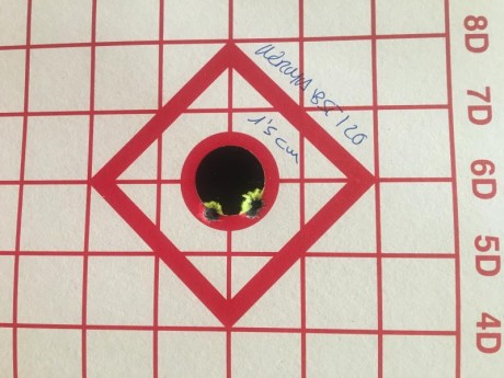 ¿Nos animamos a mostrar blancos de nuestros rifles de caza habituales? Con la munición que habitualmente 170