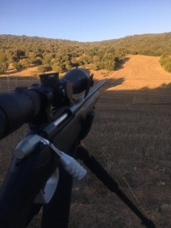 ¿Nos animamos a mostrar blancos de nuestros rifles de caza habituales? Con la munición que habitualmente 00