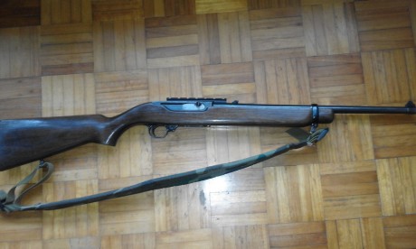 Vendo carabina Ruger 44 Mag., funciona correctamente necesita algún retoque estético porque ha sido un 02