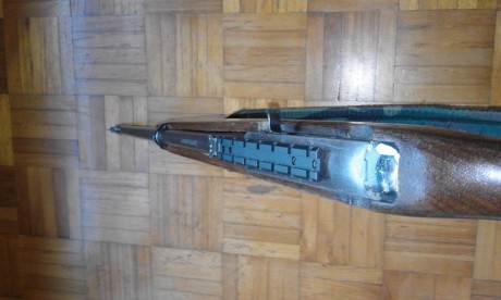 Vendo carabina Ruger 44 Mag., funciona correctamente necesita algún retoque estético porque ha sido un 21