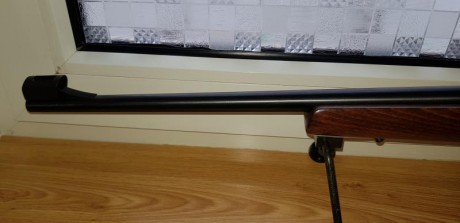 ES UNA CARABINA DEL 22 LR, CON CAÑON DE 12 ESTRIAS PARA CENTRAR MEJOR EL PROYECTIL, DE CERROJO CON CARGADOR 12