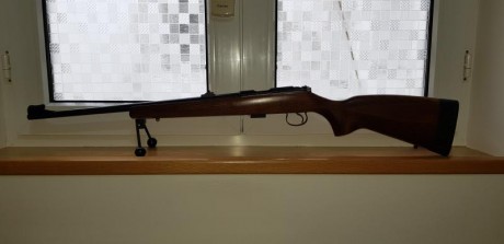ES UNA CARABINA DEL 22 LR, CON CAÑON DE 12 ESTRIAS PARA CENTRAR MEJOR EL PROYECTIL, DE CERROJO CON CARGADOR 11