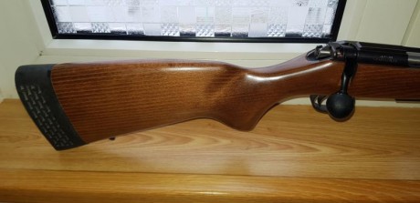 ES UNA CARABINA DEL 22 LR, CON CAÑON DE 12 ESTRIAS PARA CENTRAR MEJOR EL PROYECTIL, DE CERROJO CON CARGADOR 10