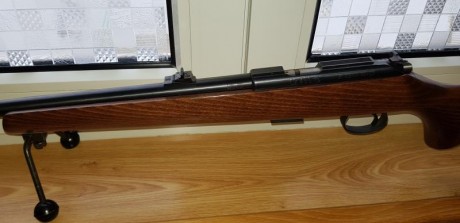 ES UNA CARABINA DEL 22 LR, CON CAÑON DE 12 ESTRIAS PARA CENTRAR MEJOR EL PROYECTIL, DE CERROJO CON CARGADOR 20