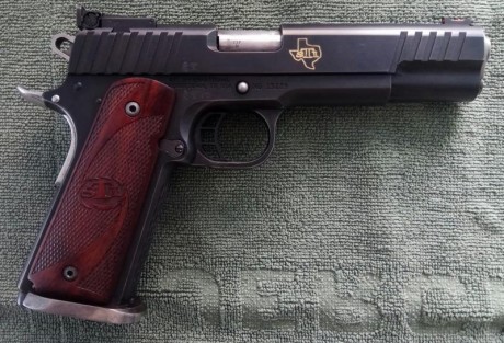 Se vende lote compuesto por pistola STI Trojan para la modalidad de Clasic, calibre 9mm, punto mira de 11