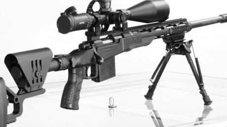 Hola buenas me gustaria iniciarme en esto y queria informacion sobre que permiso de armas necesito para 161