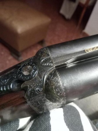 Vendo escopeta paralela AyA modelo XXV
Tipo boxlock (pletina corta). Muy ligera (sólo 2850 gramos). Cañones 21