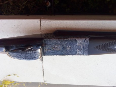 Vendo escopeta paralela AyA modelo XXV
Tipo boxlock (pletina corta). Muy ligera (sólo 2850 gramos). Cañones 20