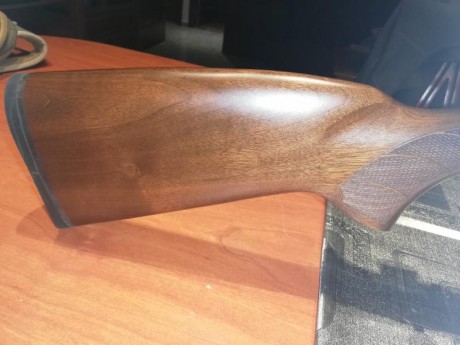vendo carabina cz 455 luxe 2 cal 22lr, practicamente nueva, con bipode incorporado.
Monta visor visionking 01