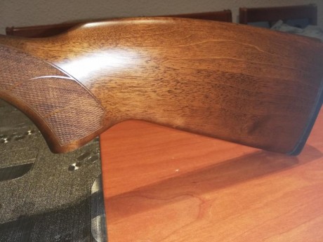 vendo carabina cz 455 luxe 2 cal 22lr, practicamente nueva, con bipode incorporado.
Monta visor visionking 10