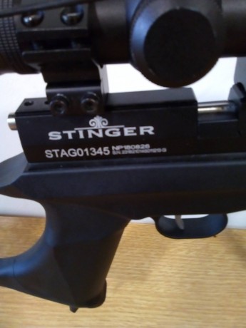 Hola, vendo esta Stinger Ares, cal. 4.5, con poco uso, comprada a finales de Noviembre pasado, por lo 00