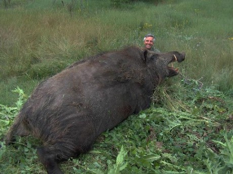 Sin comentarios.

Cazado en Louisiana.

Según reza el artículo, peso: 1.800 libras (unos 800 kg).

Imagínate 01