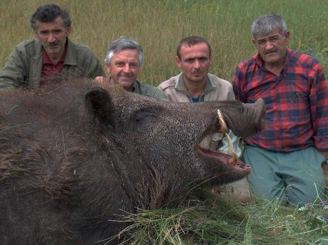 Sin comentarios.

Cazado en Louisiana.

Según reza el artículo, peso: 1.800 libras (unos 800 kg).

Imagínate 00