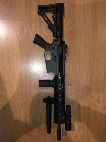 Hola a todos, 

-Astra Comando cañon corto 12 pulgadas. Con accesorios Magpul. 10 cargadores de 30 magpul 00