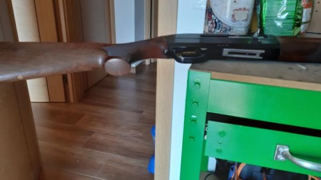 Hola compis,, quisiera cambiar una REPETIDORA BENELLI SUPER 90 de caza cal 12-70con rosca interior para 10
