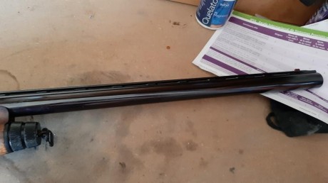 Hola compis,, quisiera cambiar una REPETIDORA BENELLI SUPER 90 de caza cal 12-70con rosca interior para 20
