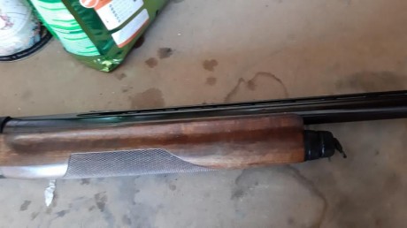 Hola compis,, quisiera cambiar una REPETIDORA BENELLI SUPER 90 de caza cal 12-70con rosca interior para 32
