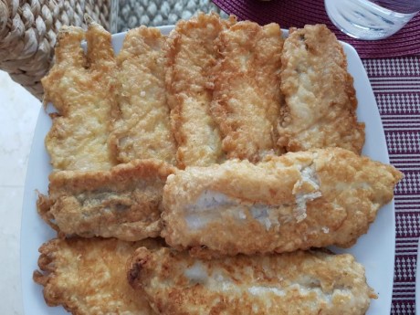 Hoy para comer acelgas hervidas y chuletón de vaca gallega vieja con seis semanas de maduración en cámara 30
