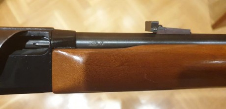 Carabina vendida 10