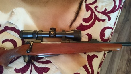 Vendo este rifle en estado impoluto con 17 tiros y monturas a estreno Warne fijas con visor Nikon Monarch 01