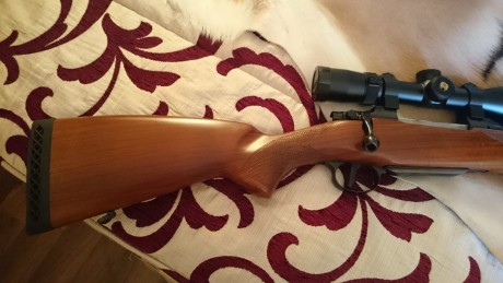 Vendo este rifle en estado impoluto con 17 tiros y monturas a estreno Warne fijas con visor Nikon Monarch 00