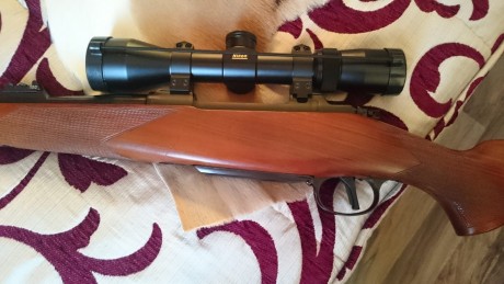 Vendo este rifle en estado impoluto con 17 tiros y monturas a estreno Warne fijas con visor Nikon Monarch 11