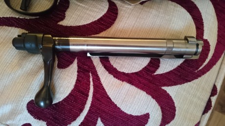Vendo este rifle en estado impoluto con 17 tiros y monturas a estreno Warne fijas con visor Nikon Monarch 22