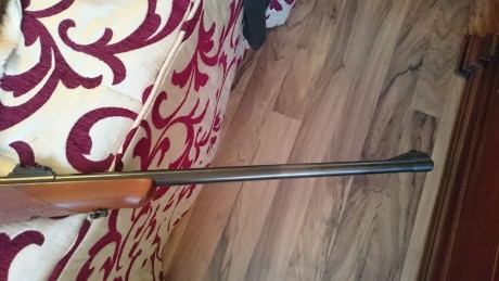 Vendo este rifle en estado impoluto con 17 tiros y monturas a estreno Warne fijas con visor Nikon Monarch 21