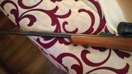 Vendo este rifle en estado impoluto con 17 tiros y monturas a estreno Warne fijas con visor Nikon Monarch 20