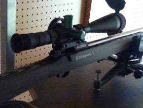 Vendo NIKKO STIRLING DIAMOND 10-50x60 con montura SPUHR 38 mm altura  (nivel de burbuja incorporado en 30