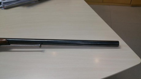 Calibre 10 hecha en Zaragoza 200 € guiada en avancarga 21