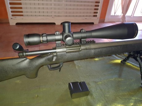 hola pongo a la venta dos rifle calibre 308 win los dos. un remington 700 police con visor sightron SIII 12