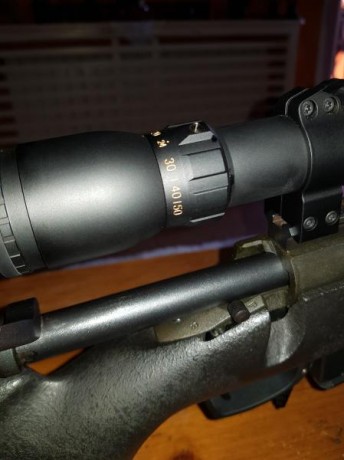 hola pongo a la venta dos rifle calibre 308 win los dos. un remington 700 police con visor sightron SIII 11