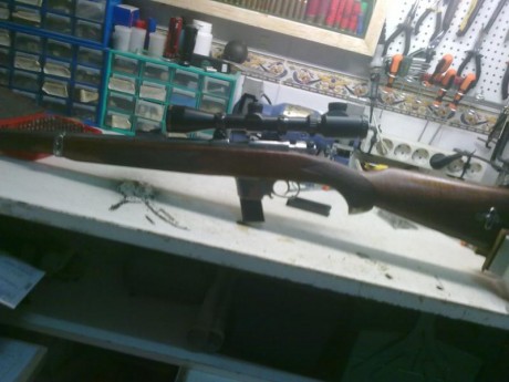 Vendo cargador para carabina Destroyer 9 largo.
Esta usado pero en buenas condiciones de chapa, sin oxido 151