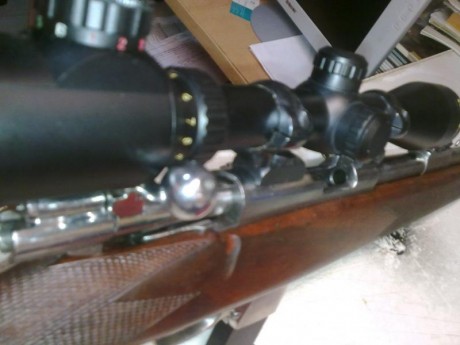Vendo cargador para carabina Destroyer 9 largo.
Esta usado pero en buenas condiciones de chapa, sin oxido 162