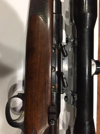 Hola, dispongo de rifle Mannlincher Schönauer en calibre 6,5x55 swiss. Modelo de caja larga con monturas 01