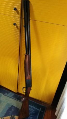 Vendo por exceso de armas escopeta de tiro al plato. Es una Super Lanber con 75cm de cañón con punto de 00