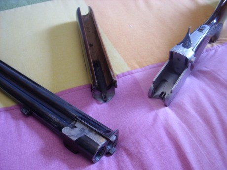 ...la que yo tengo, y es que dentro de unos años me he propuesto comprar un rifle como el que tengo, un 50