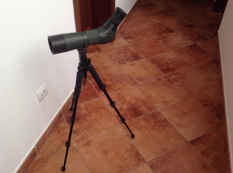 Vendo telescopio terrestre swarovski con objetivo de 65 mm de diámetro y ocular de 20-60 aumentos.

Ideal 20