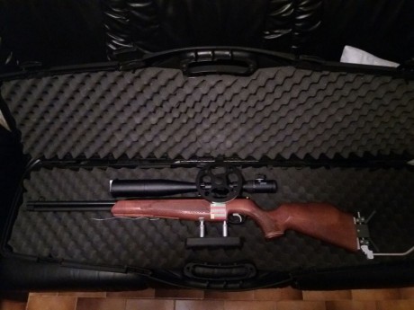 Hola,

Vendo air arms tx 200 4.5 com kit guias e mola vortek 16 joules, Rabera e Seta Vaqueiros, visor 00